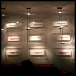 Acrylic Wall Mounted Box Display Units
