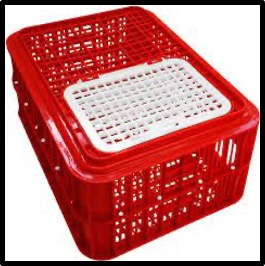 Live Bird Crate with Lid